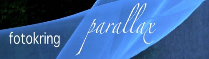 Logo Parallax 2020